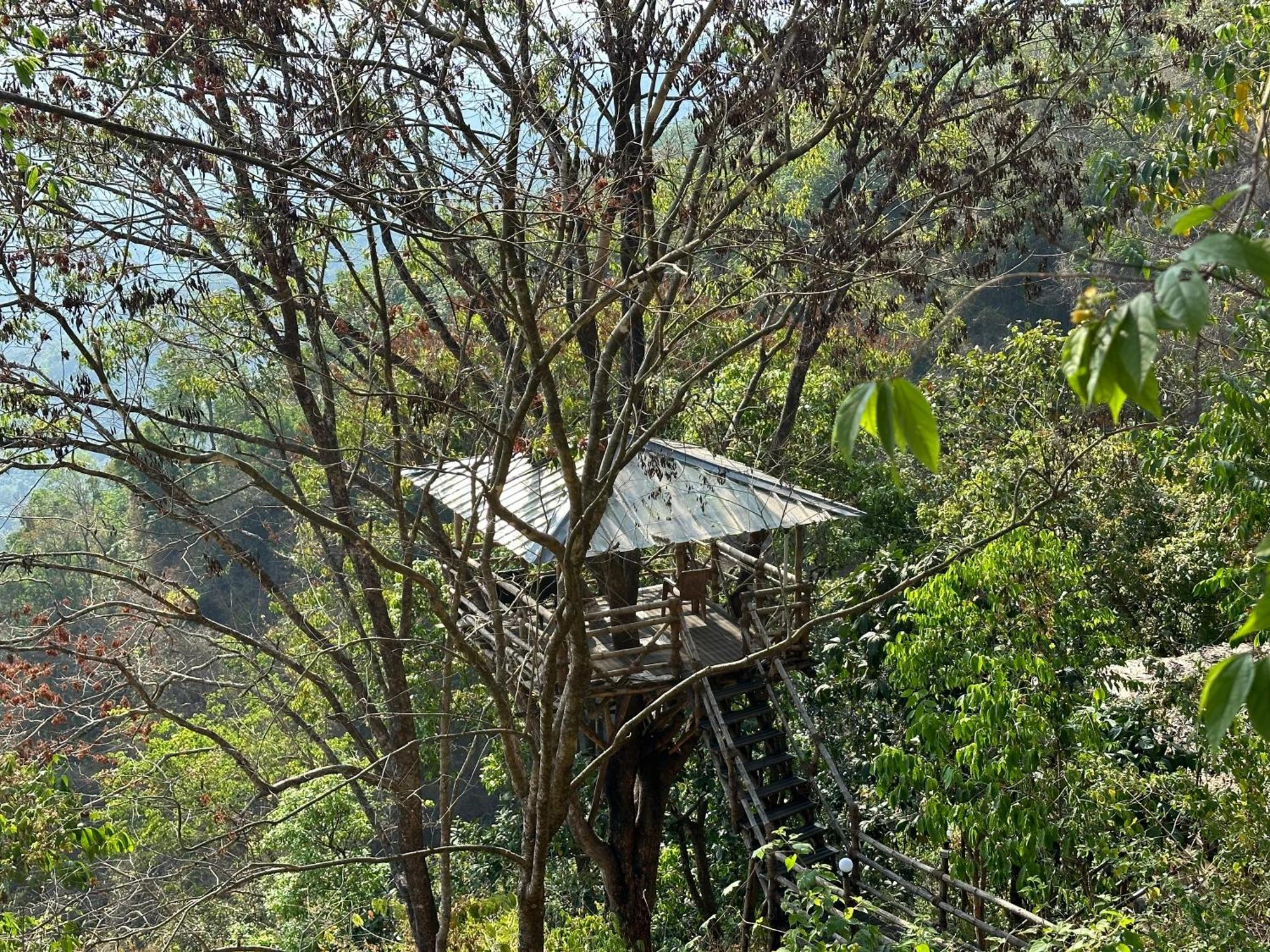 Sunset Valley Kerala Pool Resort - Monsoon Forest Cottage Stay In Idukki With Private Waterfalls, Natural Streams & Breathtaking Views Pīrmed Εξωτερικό φωτογραφία