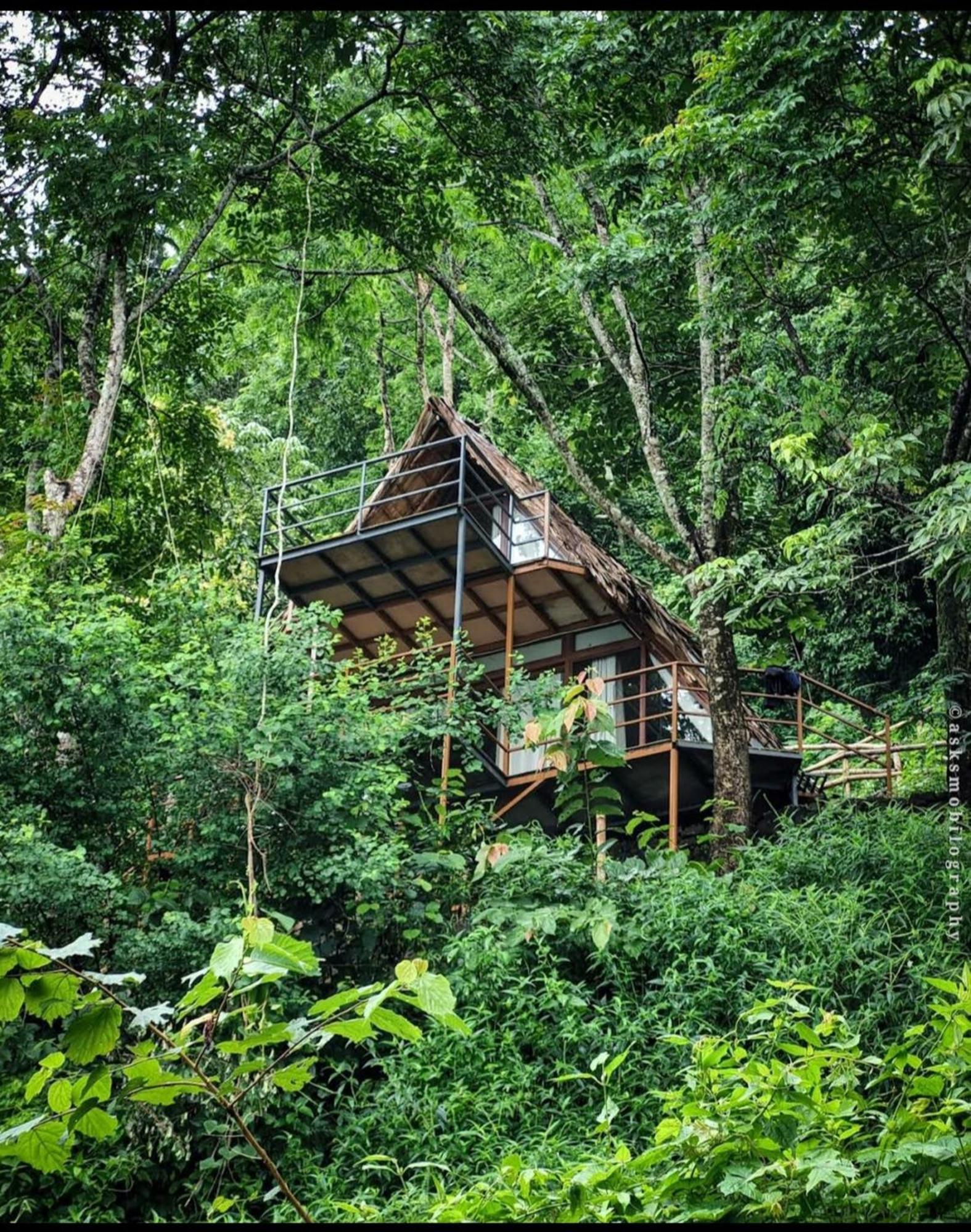 Sunset Valley Kerala Pool Resort - Serene Natural Forest Cottage Stay In Idukki With Sunrise & Sunset Panoramas, Natural Streams & Tranquil Summer Evenings Pīrmed Εξωτερικό φωτογραφία
