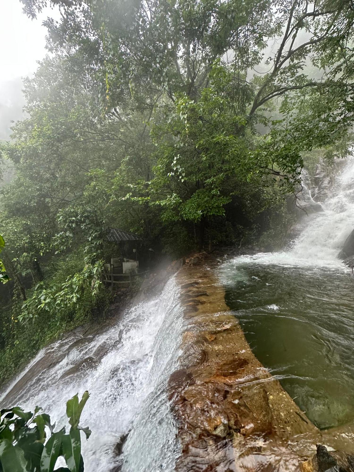 Sunset Valley Kerala Pool Resort - Monsoon Forest Cottage Stay In Idukki With Private Waterfalls, Natural Streams & Breathtaking Views Pīrmed Εξωτερικό φωτογραφία